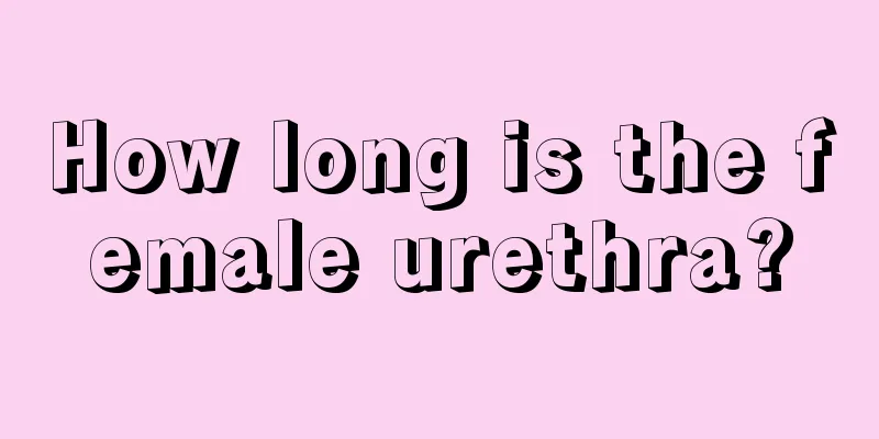 How long is the female urethra?