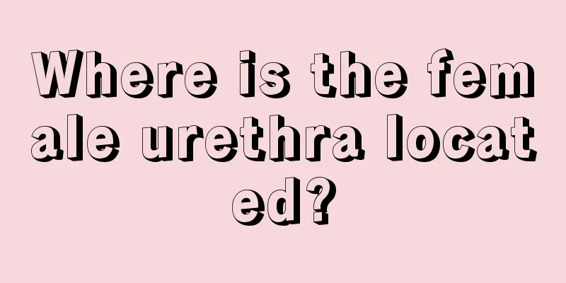 Where is the female urethra located?