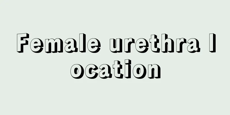 Female urethra location