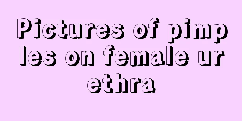 Pictures of pimples on female urethra