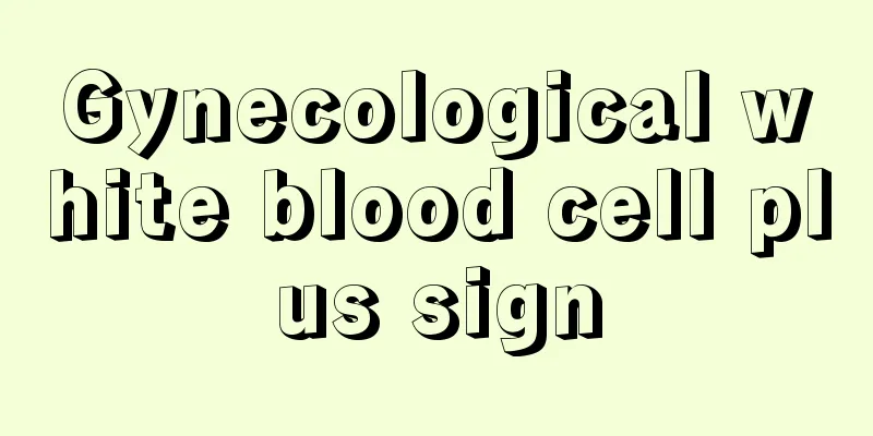 Gynecological white blood cell plus sign