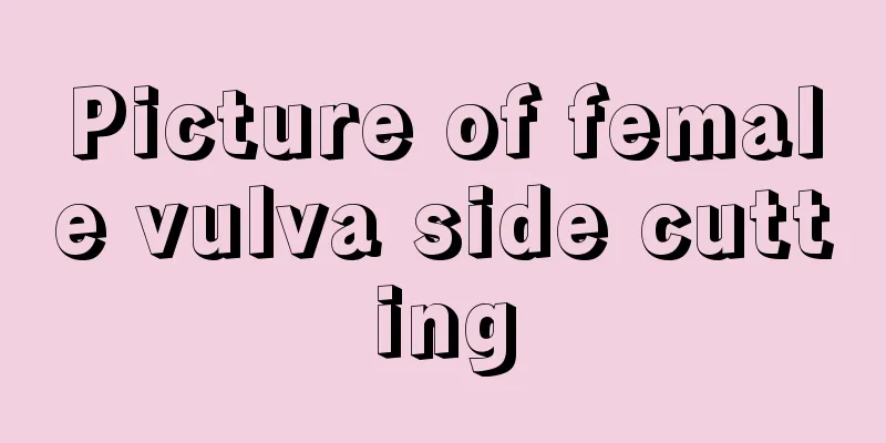 Picture of female vulva side cutting