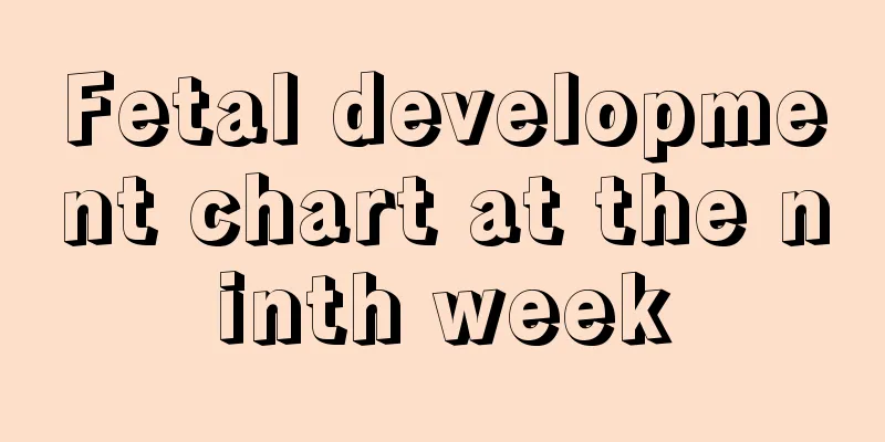 Fetal development chart at the ninth week