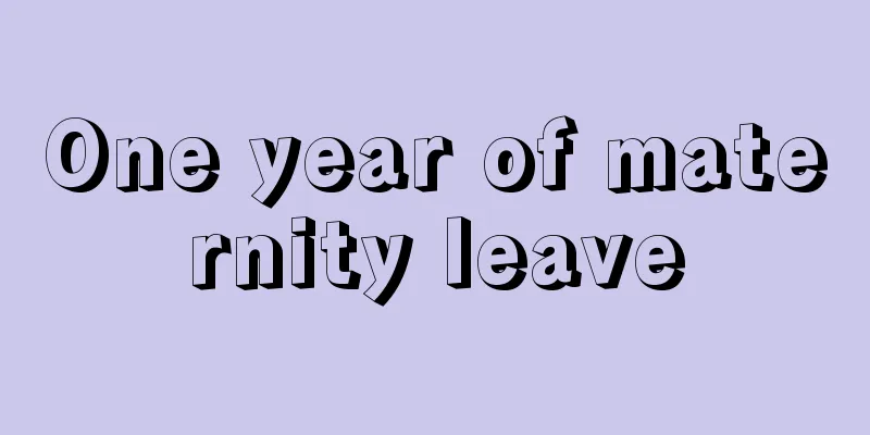 One year of maternity leave