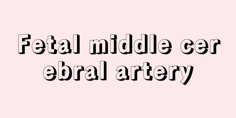 Fetal middle cerebral artery