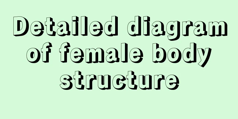 Detailed diagram of female body structure