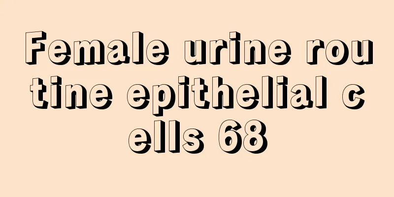 Female urine routine epithelial cells 68