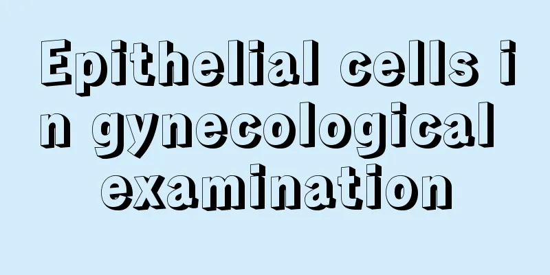 Epithelial cells in gynecological examination