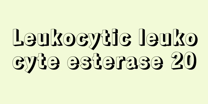 Leukocytic leukocyte esterase 20