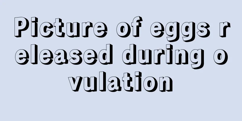 Picture of eggs released during ovulation