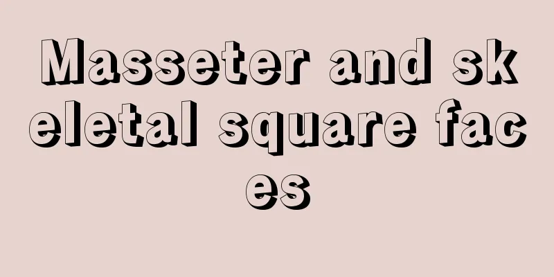 Masseter and skeletal square faces