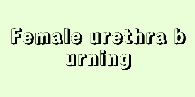 Female urethra burning