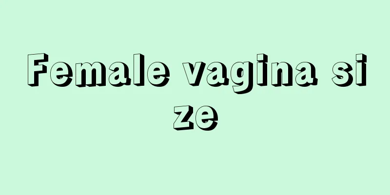 Female vagina size