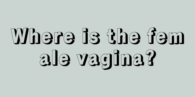 Where is the female vagina?