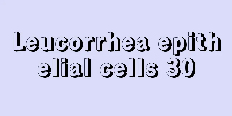 Leucorrhea epithelial cells 30