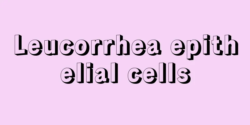 Leucorrhea epithelial cells