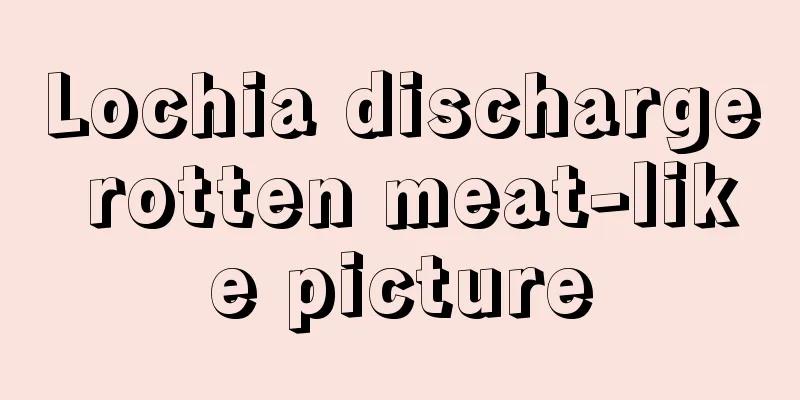 Lochia discharge rotten meat-like picture