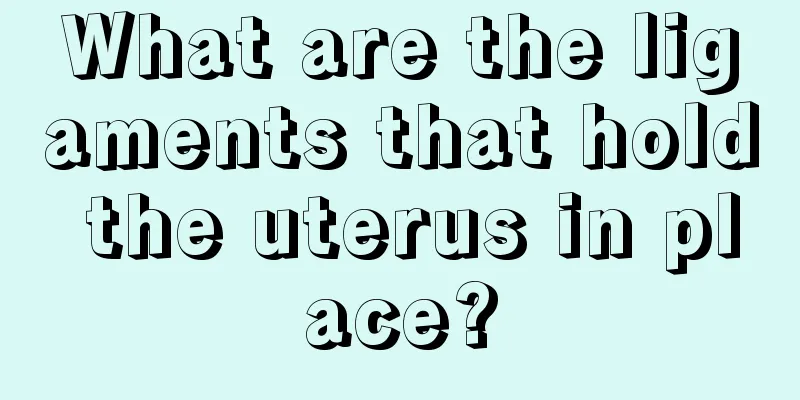 What are the ligaments that hold the uterus in place?