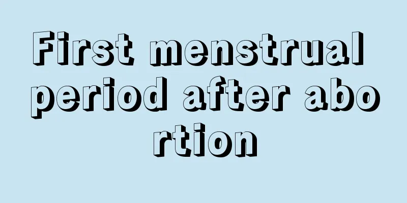 First menstrual period after abortion