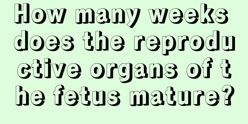 How many weeks does the reproductive organs of the fetus mature?