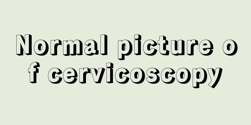 Normal picture of cervicoscopy