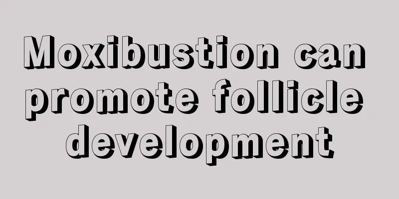 Moxibustion can promote follicle development