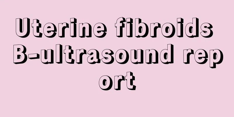 Uterine fibroids B-ultrasound report