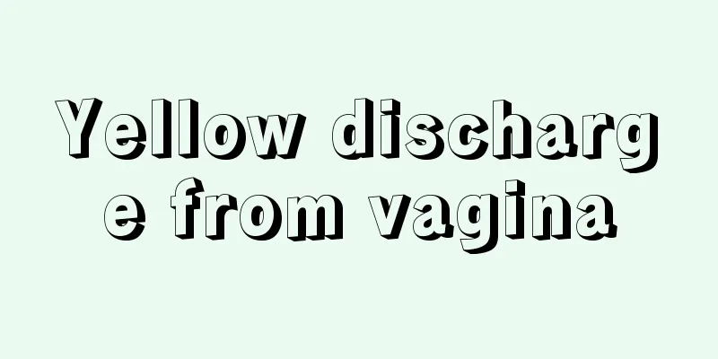 Yellow discharge from vagina