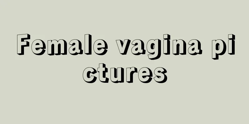 Female vagina pictures