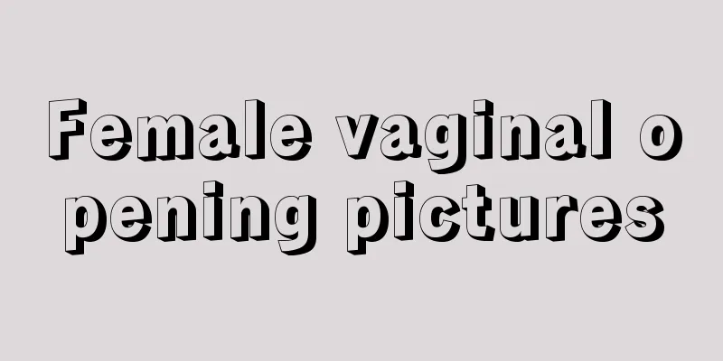 Female vaginal opening pictures