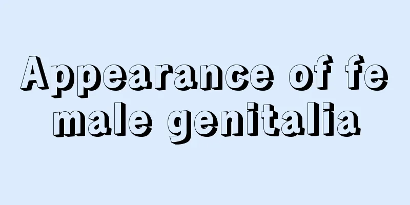 Appearance of female genitalia