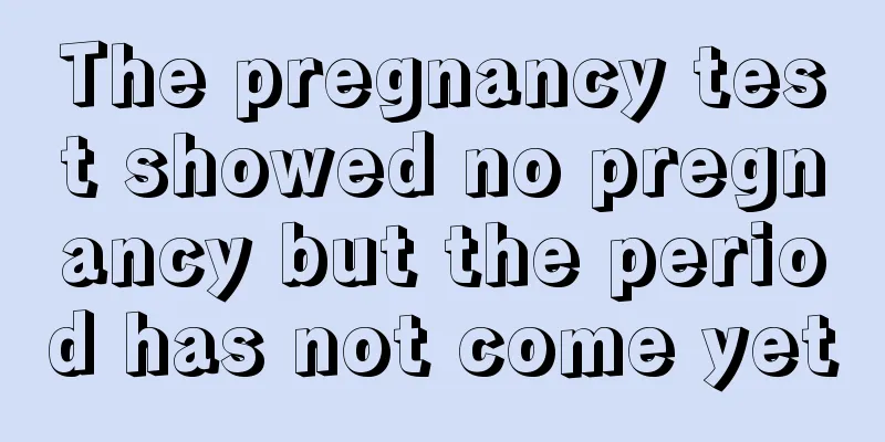 The pregnancy test showed no pregnancy but the period has not come yet