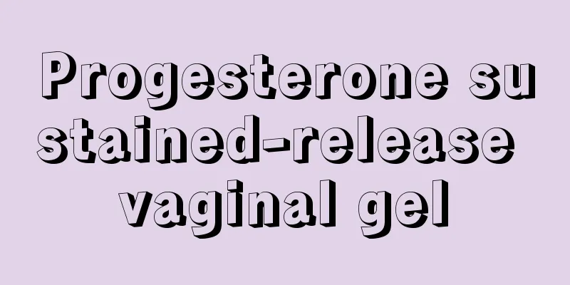 Progesterone sustained-release vaginal gel