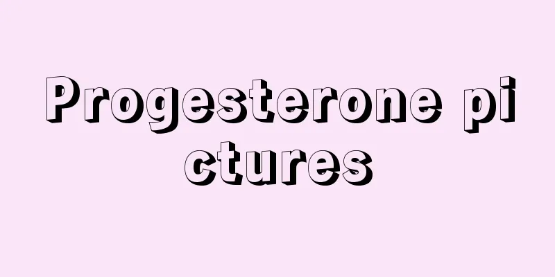 Progesterone pictures