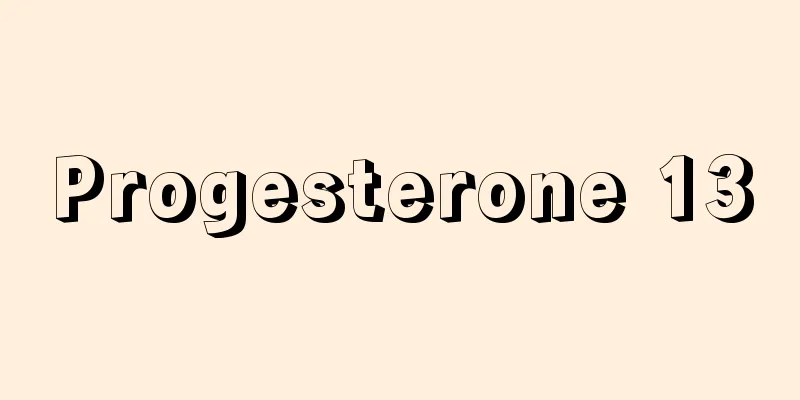 Progesterone 13