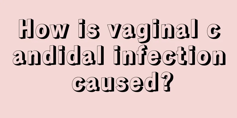 How is vaginal candidal infection caused?