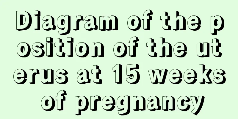 Diagram of the position of the uterus at 15 weeks of pregnancy