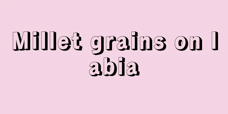 Millet grains on labia