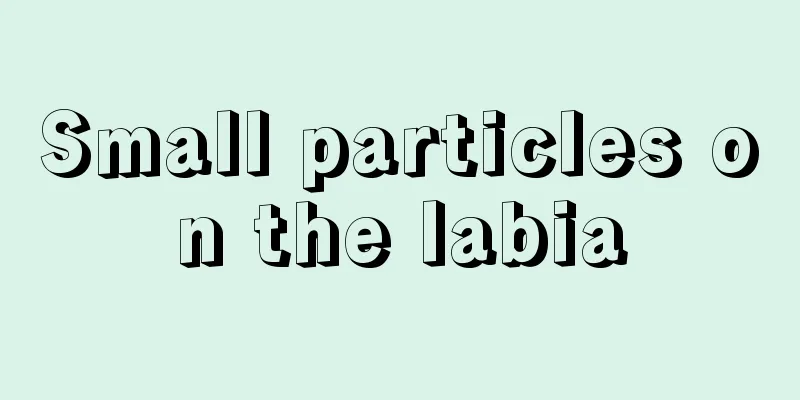 Small particles on the labia