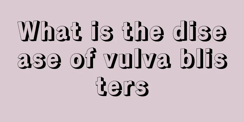 What is the disease of vulva blisters