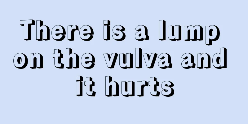 There is a lump on the vulva and it hurts