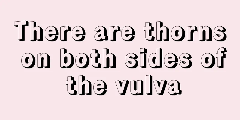 There are thorns on both sides of the vulva