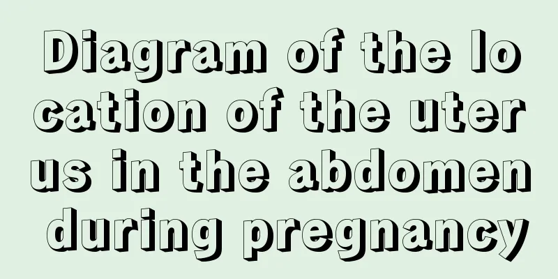 Diagram of the location of the uterus in the abdomen during pregnancy