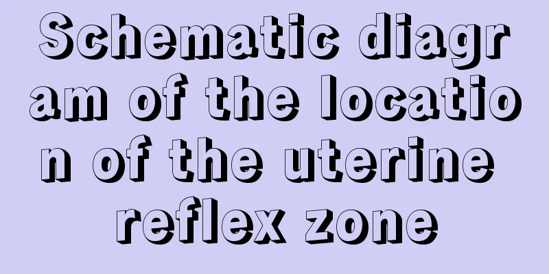 Schematic diagram of the location of the uterine reflex zone