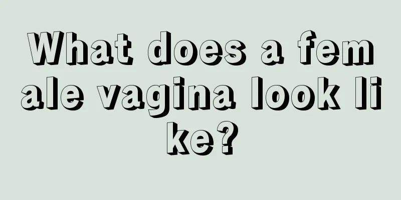 What does a female vagina look like?