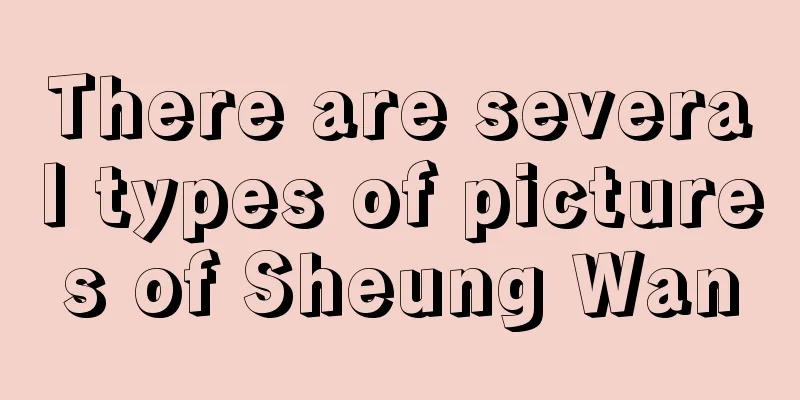 There are several types of pictures of Sheung Wan