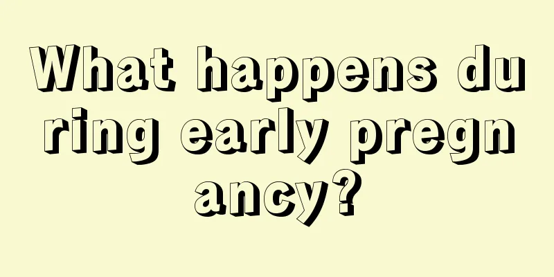 What happens during early pregnancy?