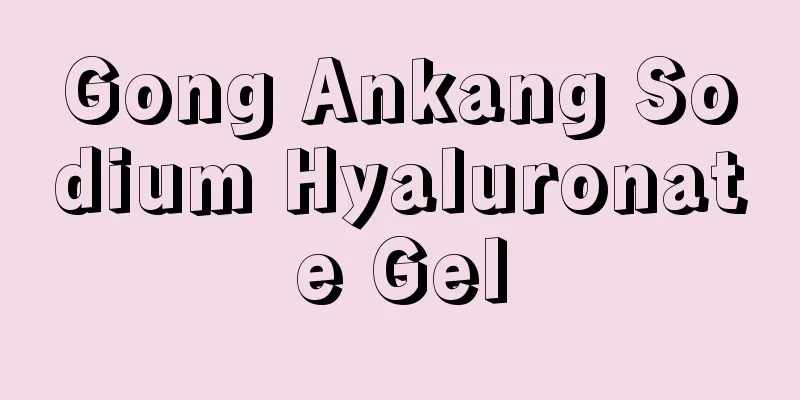 Gong Ankang Sodium Hyaluronate Gel