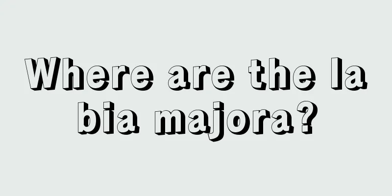 Where are the labia majora?