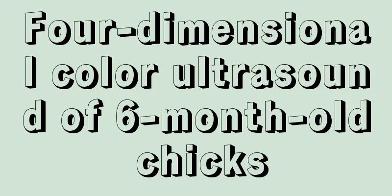 Four-dimensional color ultrasound of 6-month-old chicks